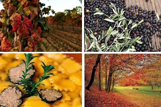 autunno imm in evidenza