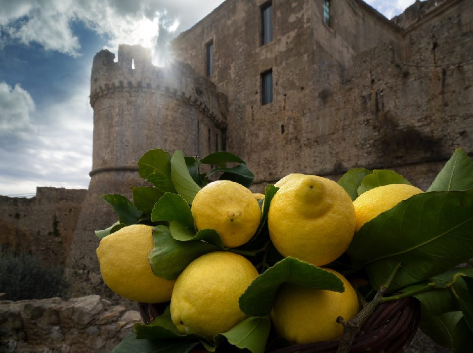 Rocca Imperiale Limoni IGP Ph Anna Aloi