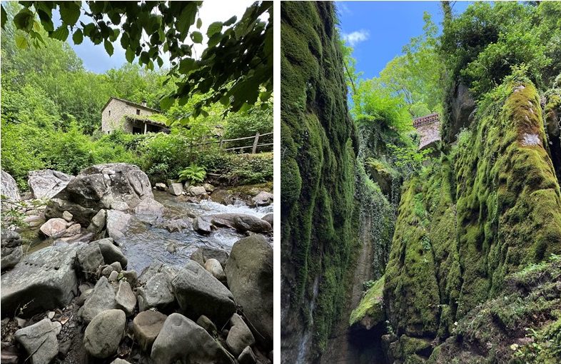 raggiolo e chiusi per art sito BBi estate 2025