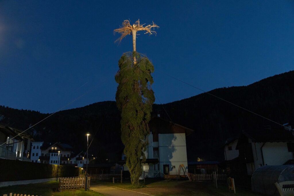 Mezzano Natale Albero delle radici Ph Dolomites Web